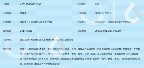 武汉和悦智付科技有限责任公司 信息技术咨询服务的行业先锋
